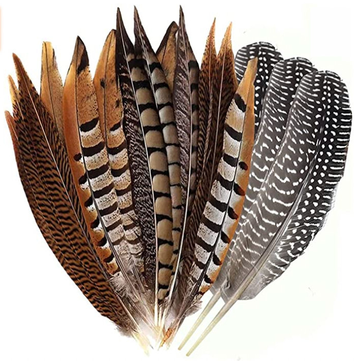 feathers on frenulum to get penis erect