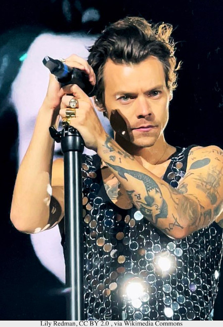 Harry Styles has polythelia